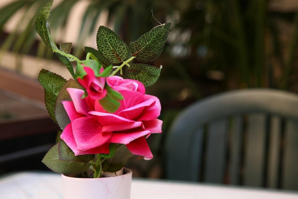 Фото Art Lincoln Palermo