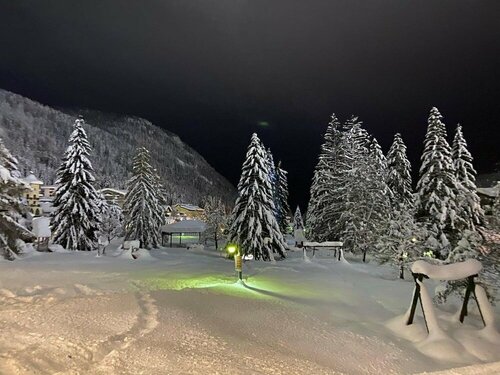 Внешний вид отеля Hotel Ariston в Пинцоле, фото 2