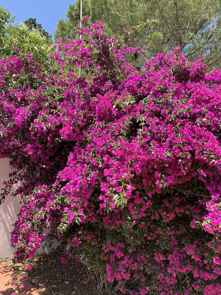 Фото B&b A Casa di Joy