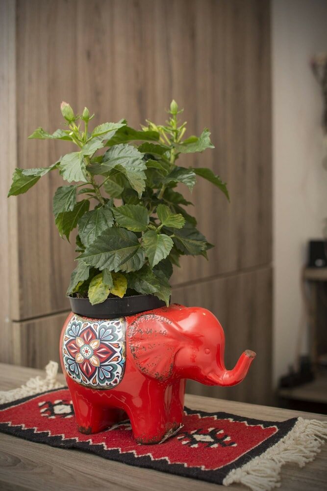 Фото Beo Green View