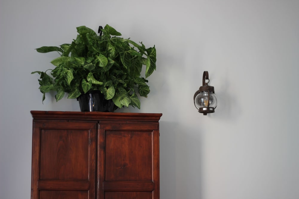 Фото B&b Gallidoro Maqueda 124 st