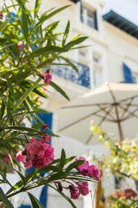 Гостиница Hotel Edouard VII