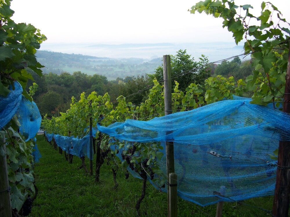 Фото Ringhotel Gasthof Hasen Herrenberg