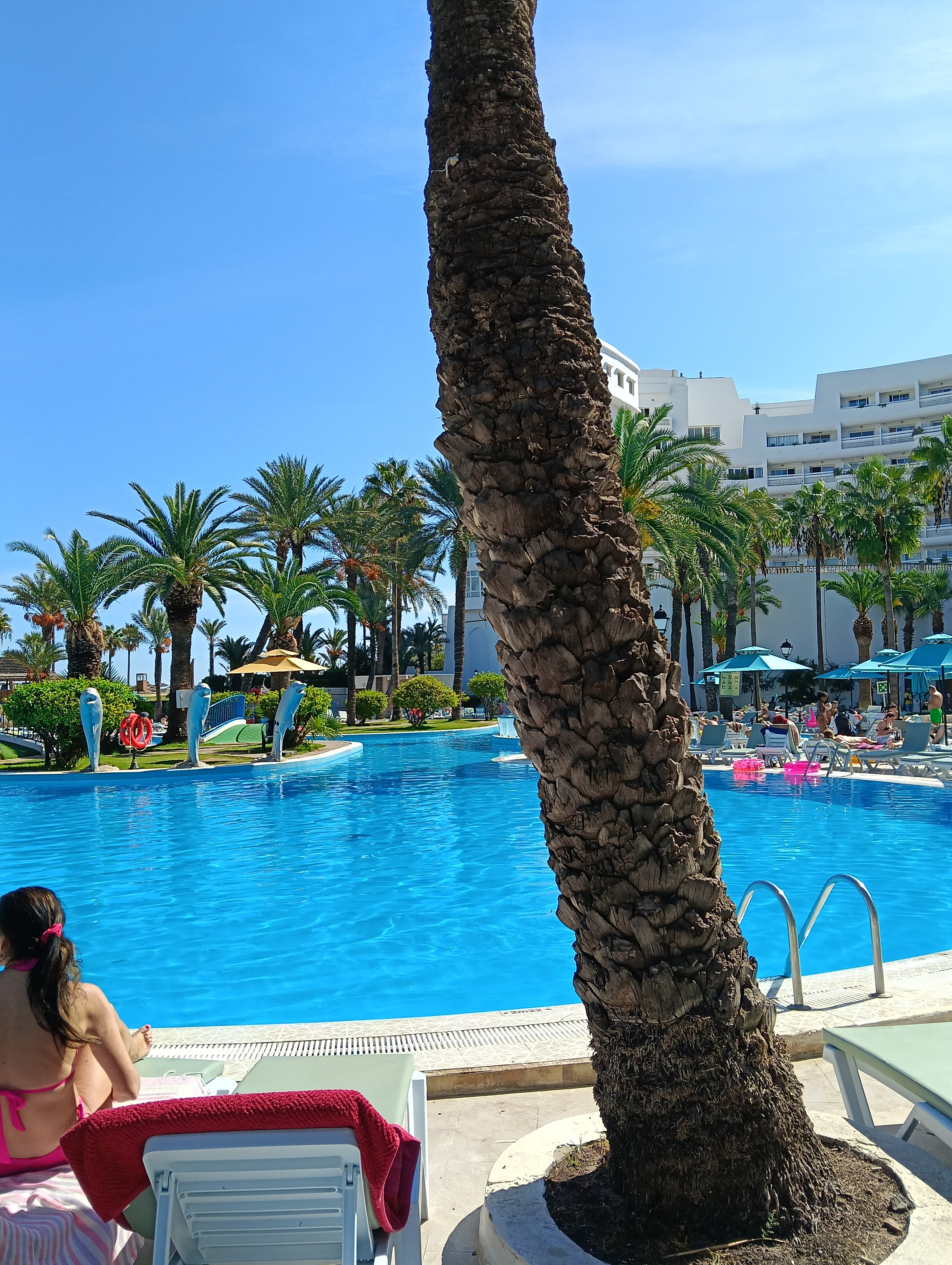 Фото Riadh Palms Resort and SPA