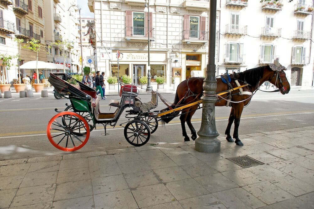 Фото Mercure Palermo Centro