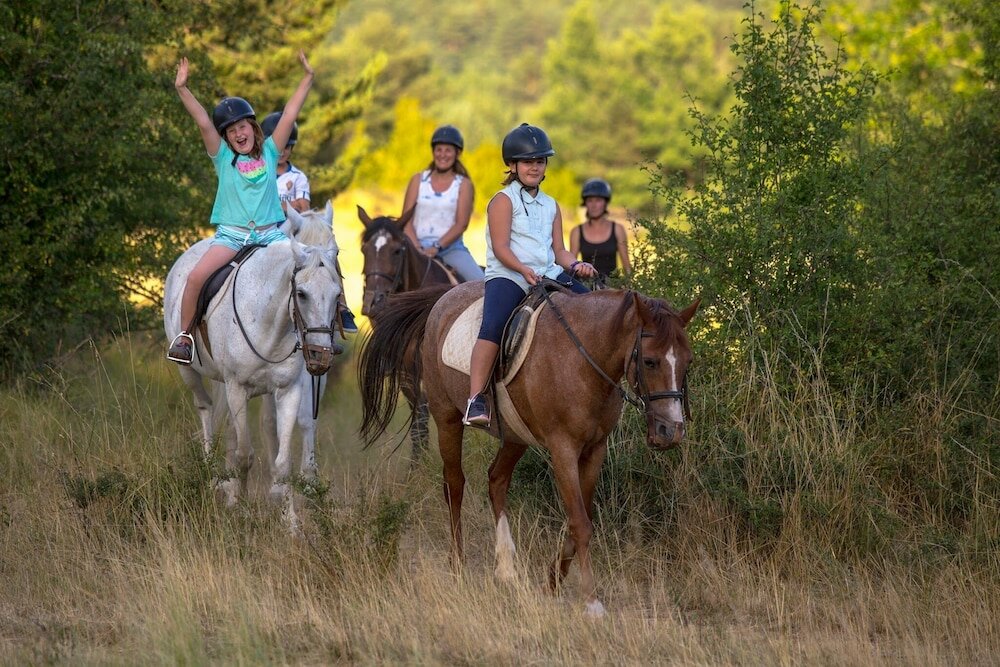 Фото Hotel El Acebo