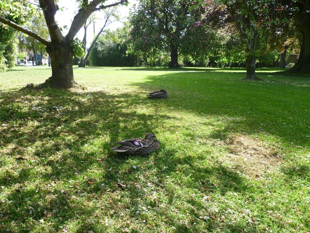 Фото 162 Kings of Riccarton Motel