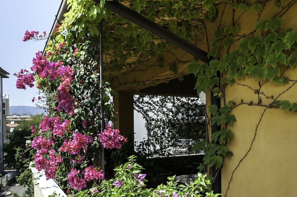 Фото B&b Tribunale