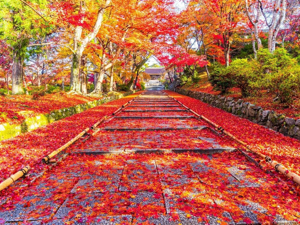 Фото The Machiya Ebisuya