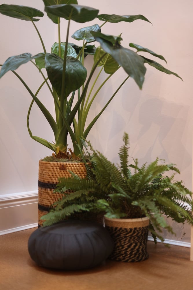 Фото Inhabit, Southwick Street