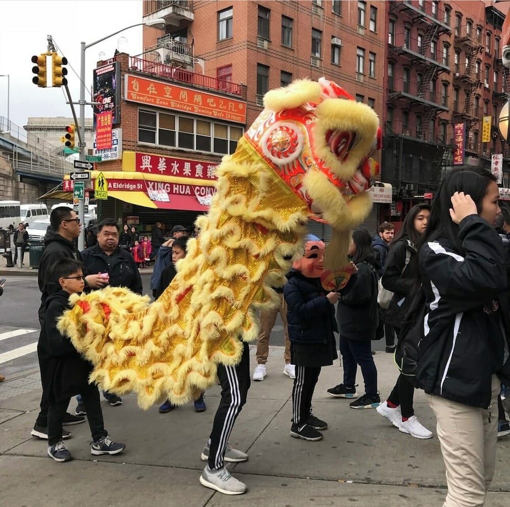 Фото Hotel Mimosa