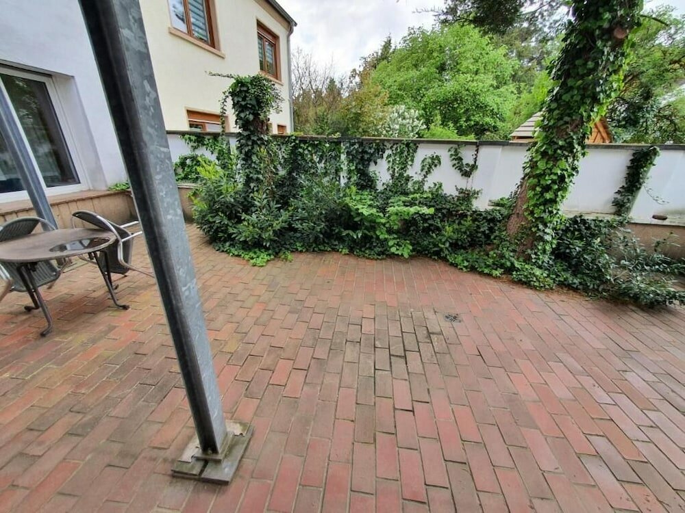 Фото Hotel Jungmann