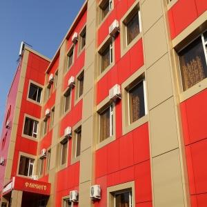 Фото Фламинго