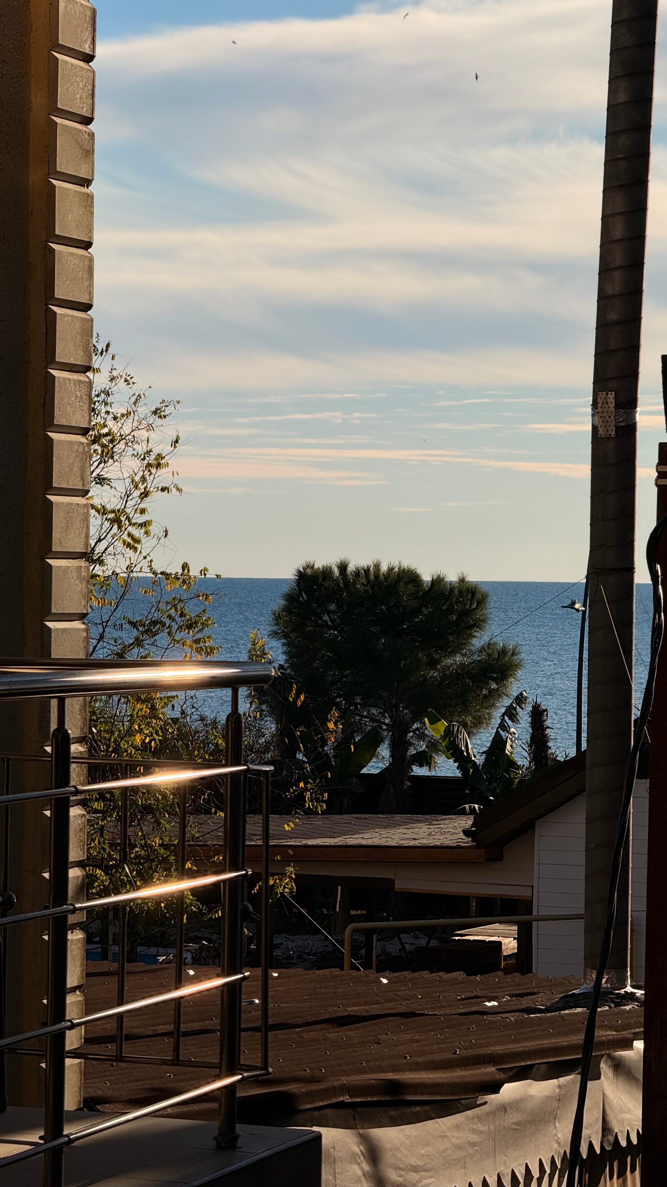 Фото Олимп Первая Линия