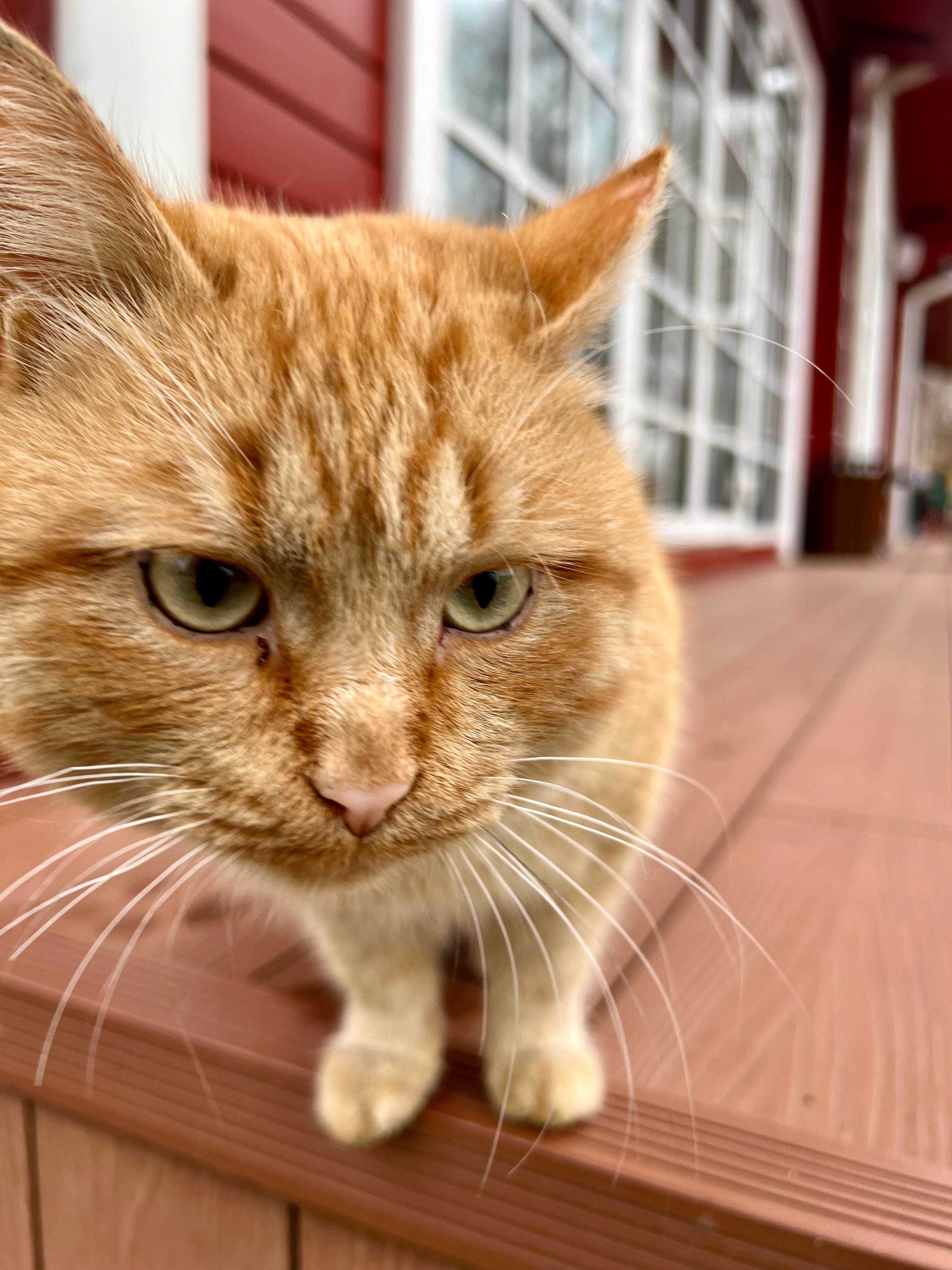 Фото Заимка