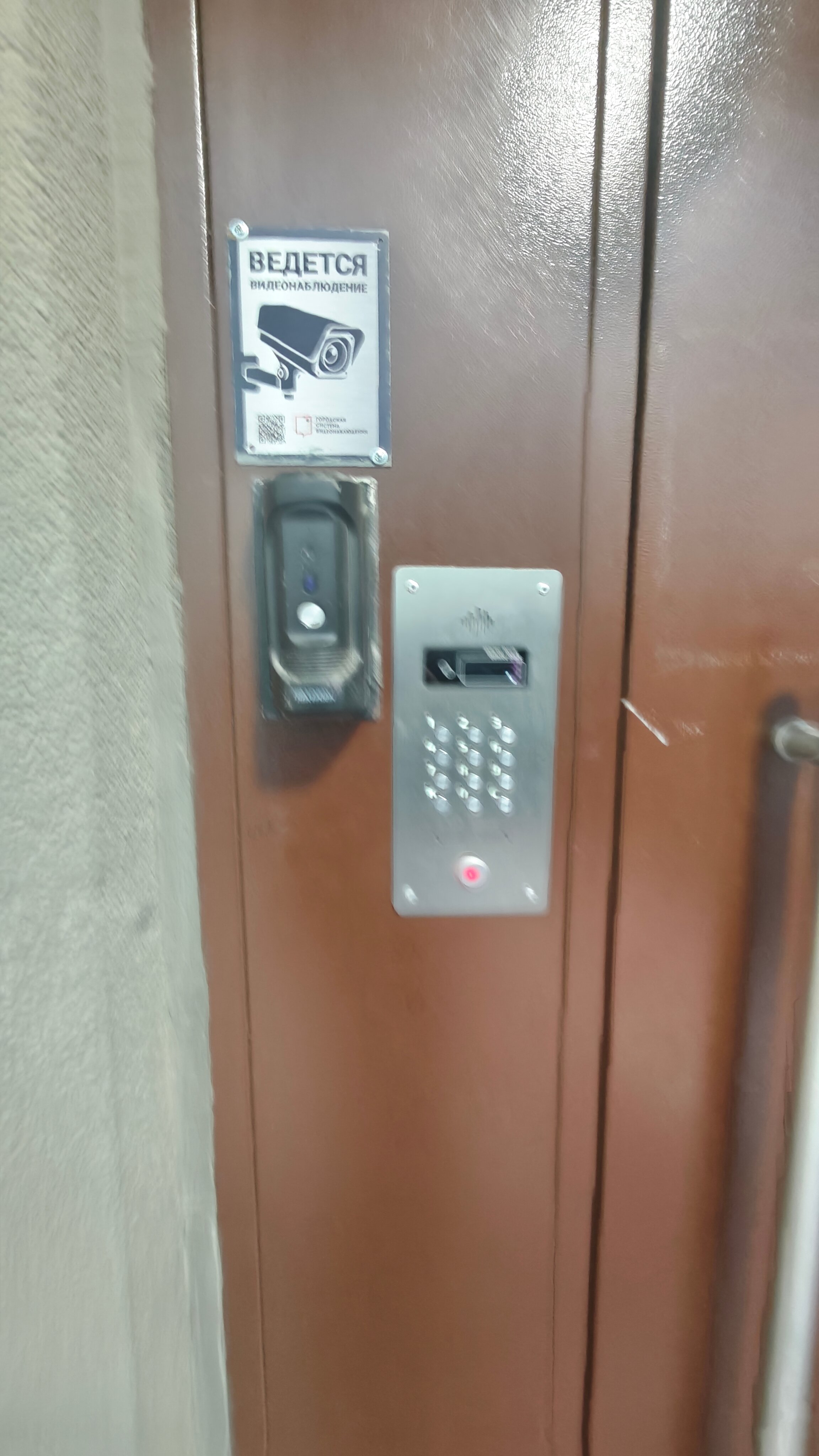 Фото Шаманка