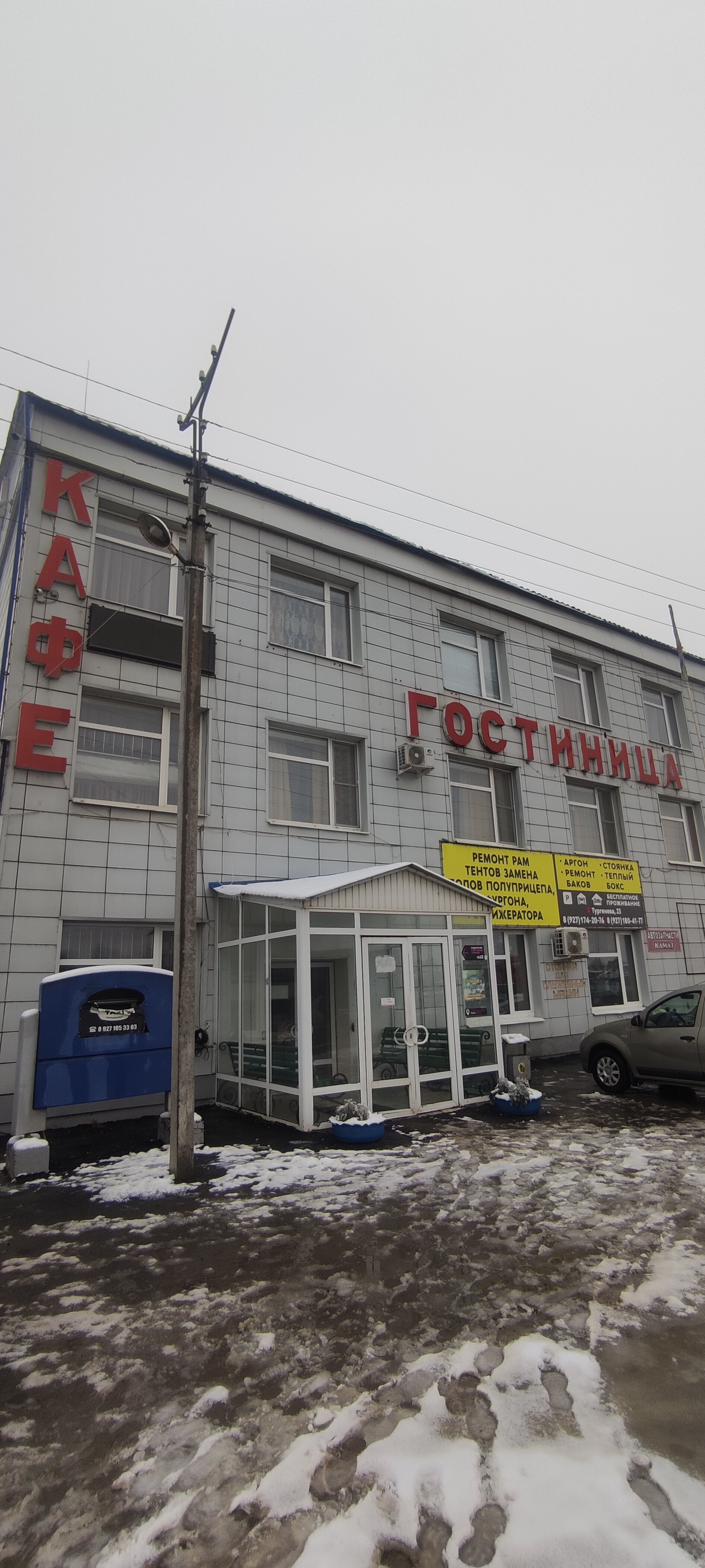 Фото Ромашка