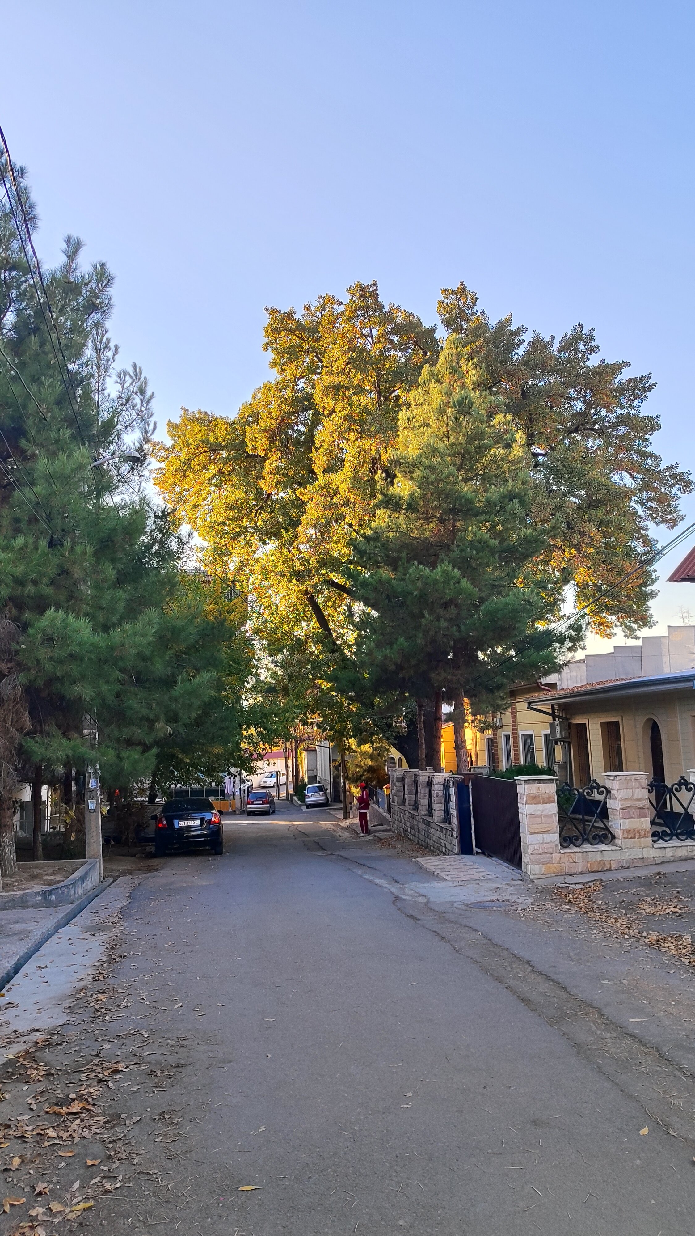 Фото Nuovo Boutique Hotel