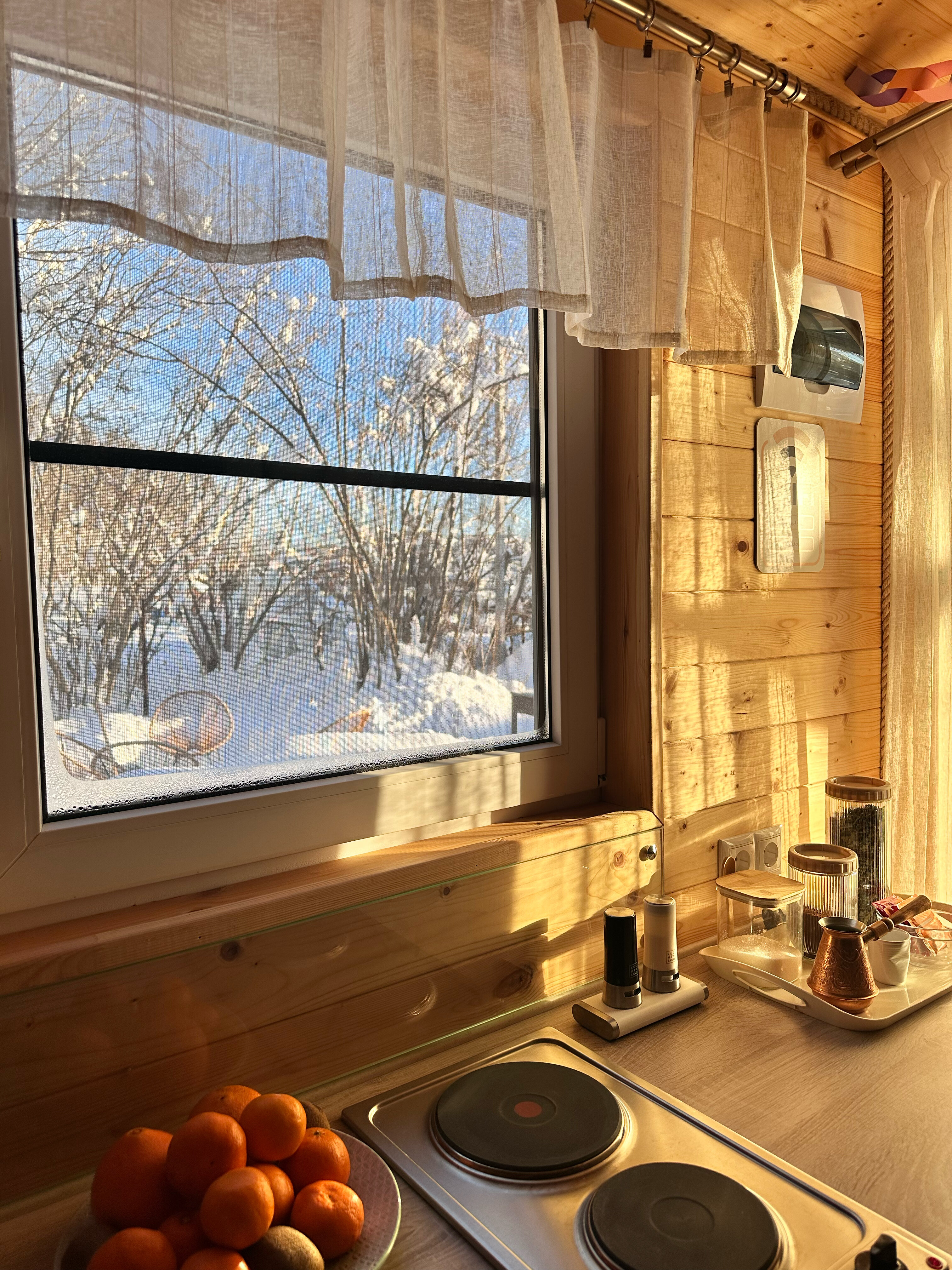 Фото Горная Лаванда