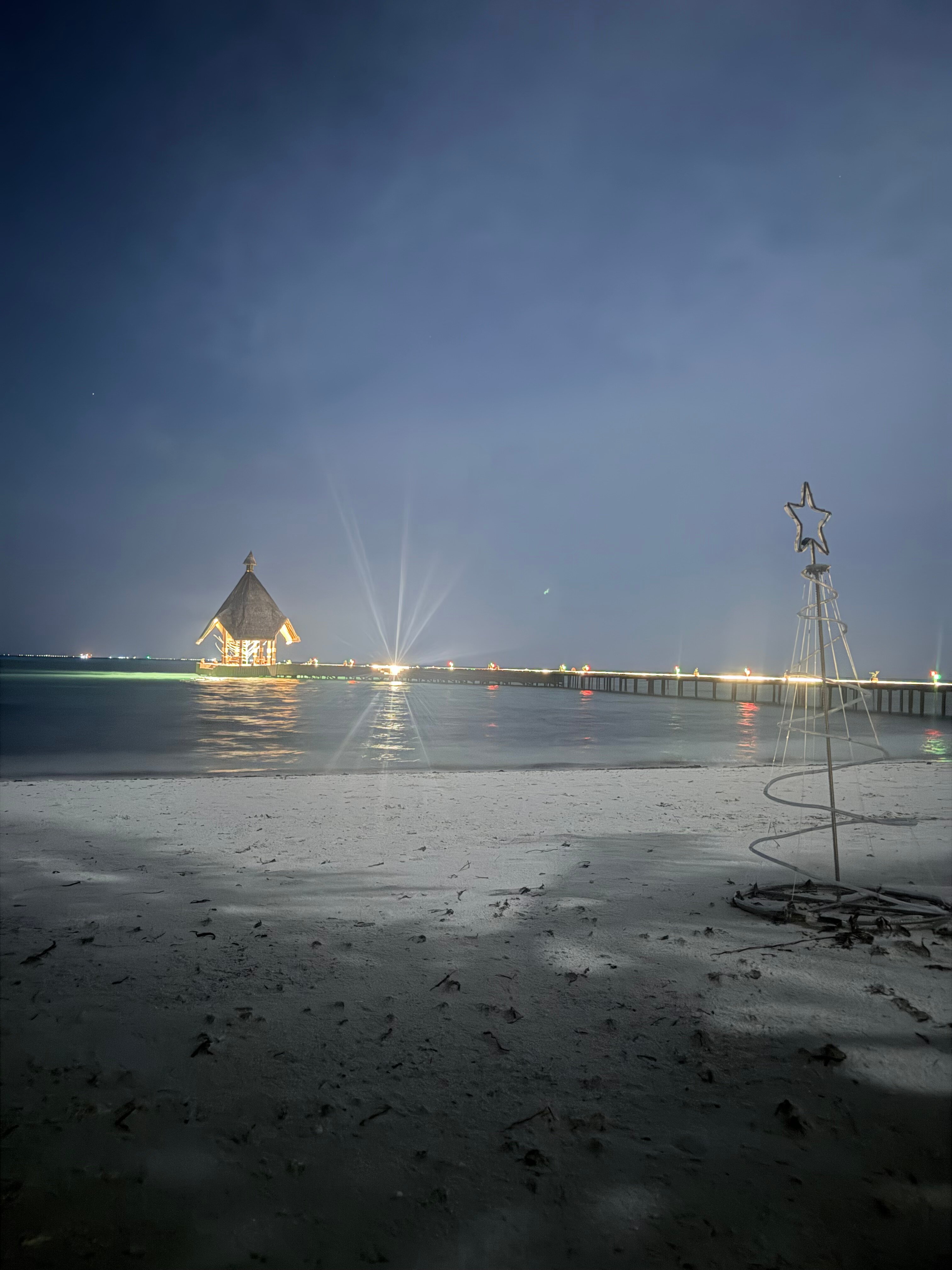 Фото Canareef Resort Maldives
