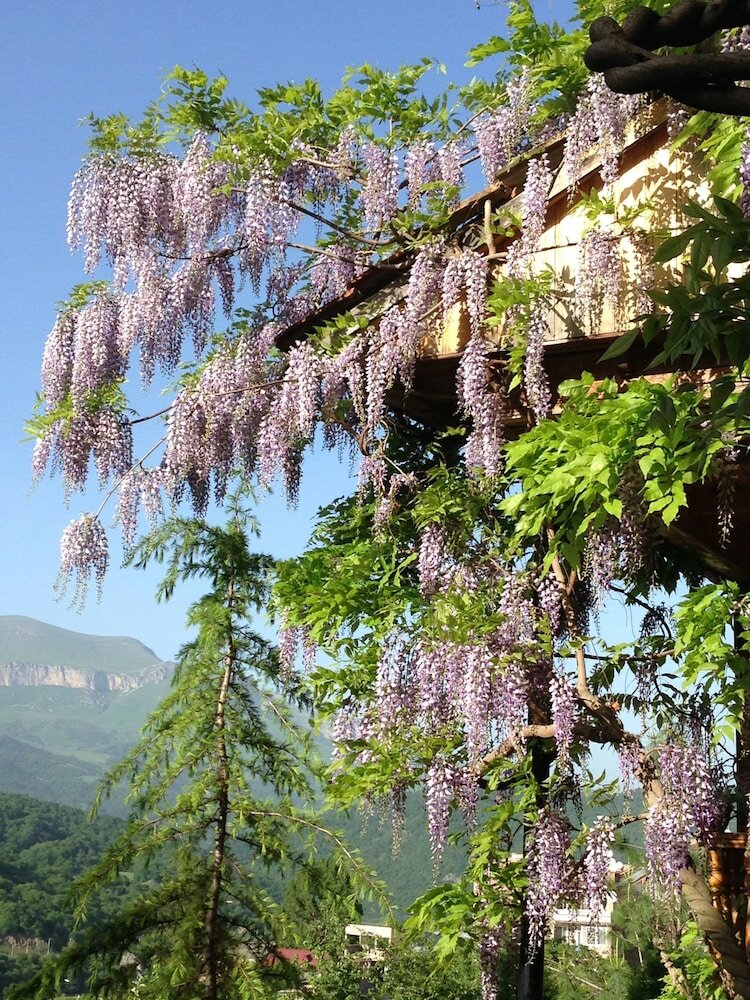 Фото Casanova Inn Boutique hotel