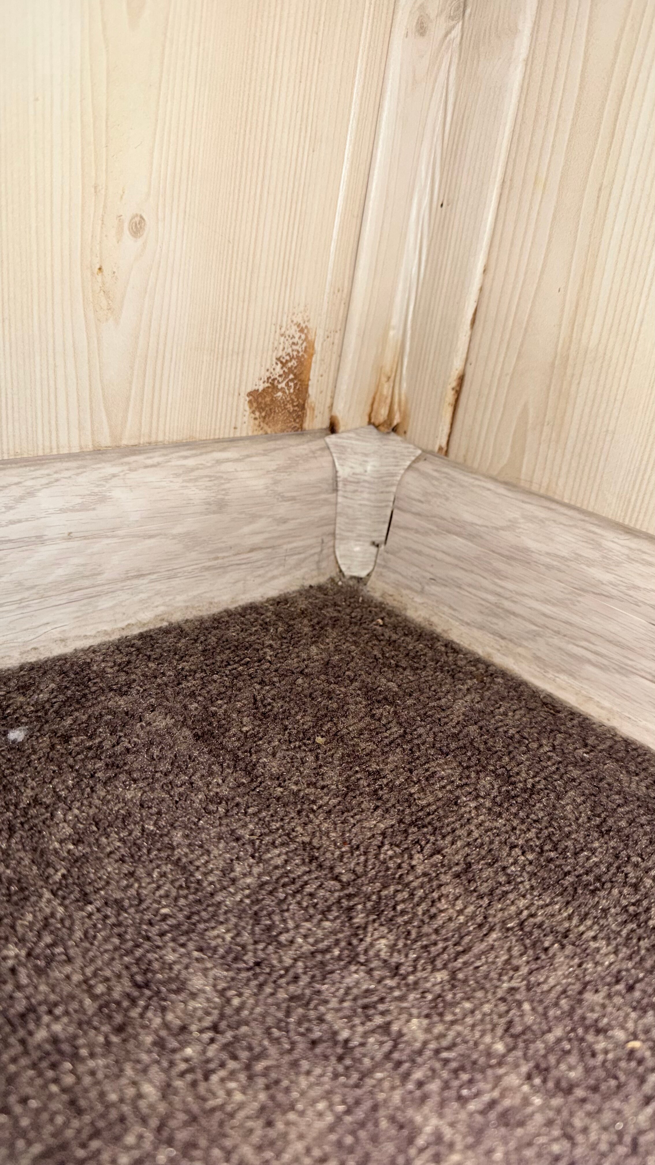 Фото Грин холл