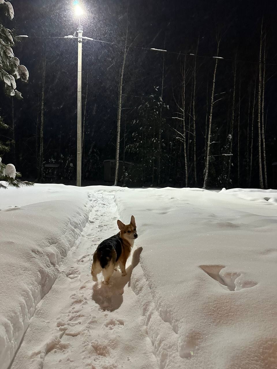 Фото Экополис