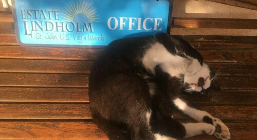 Гостиница Estate Lindholm на Сент-Джоне