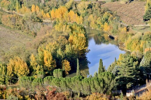 Гостиница B&b La Martellina в Фьезоле