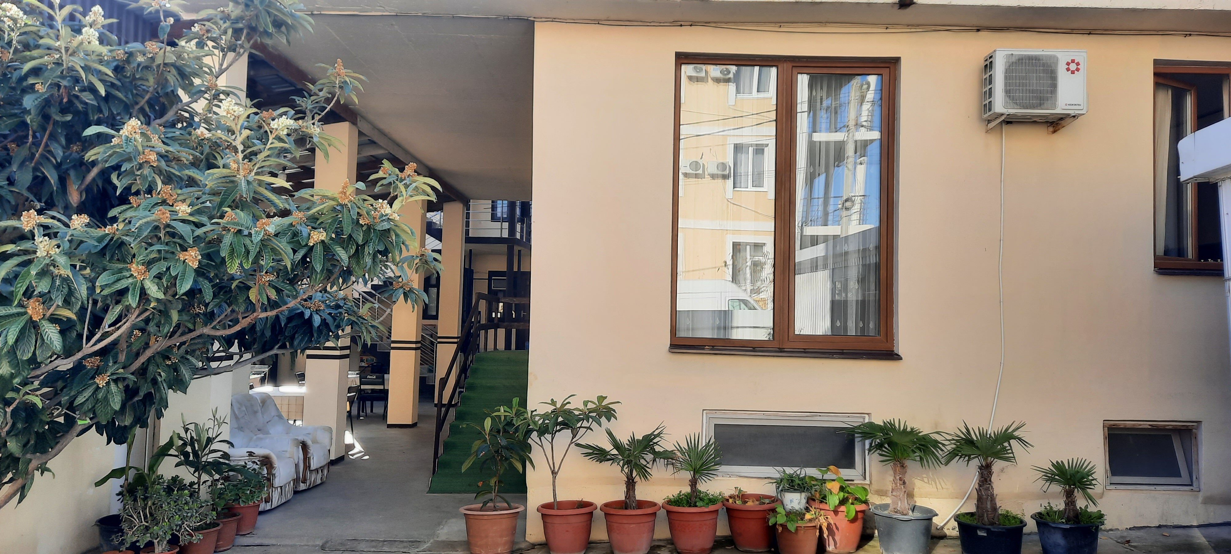 Фото Изабелла