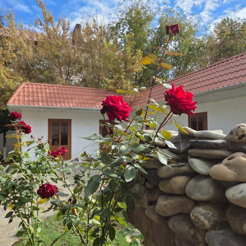 Фото Зама