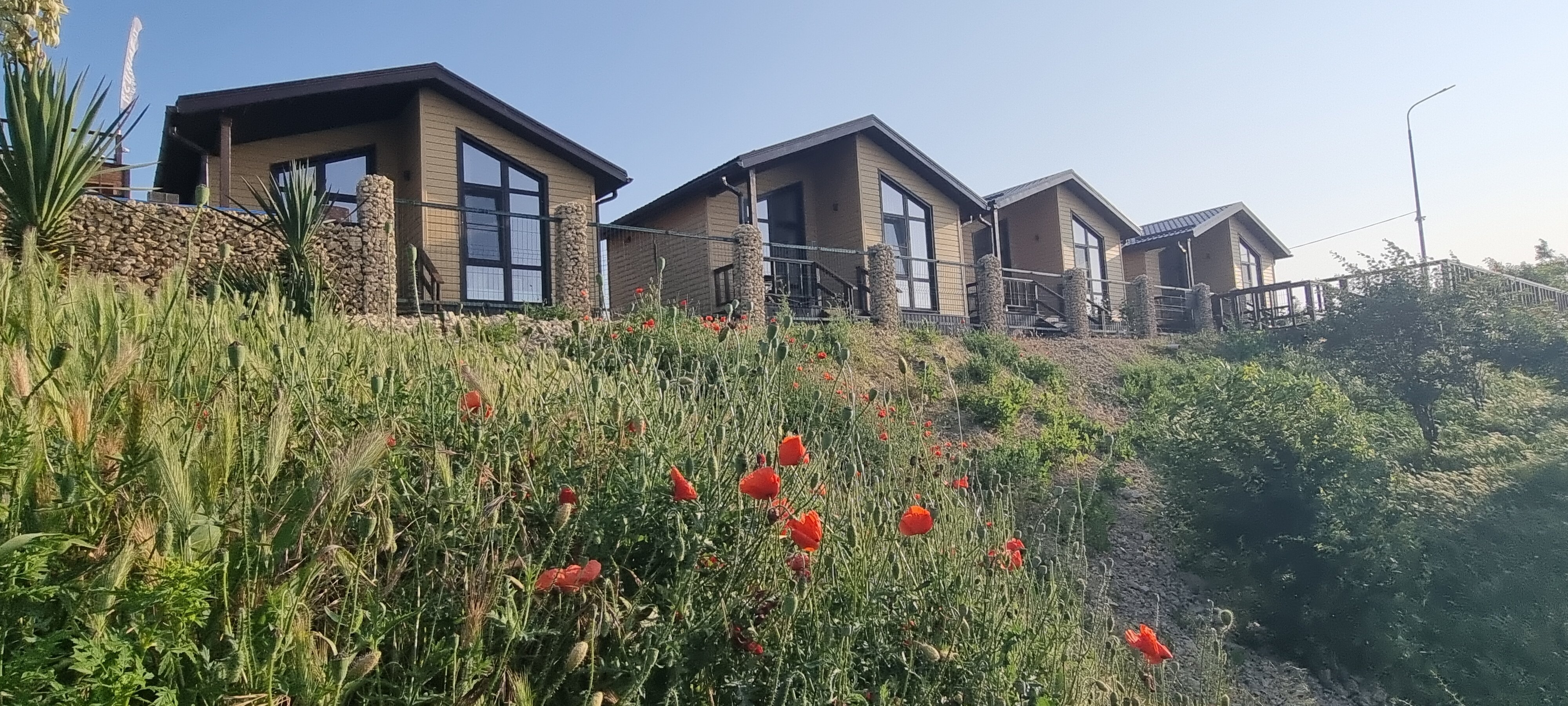 Фото Экзотик Эльвар