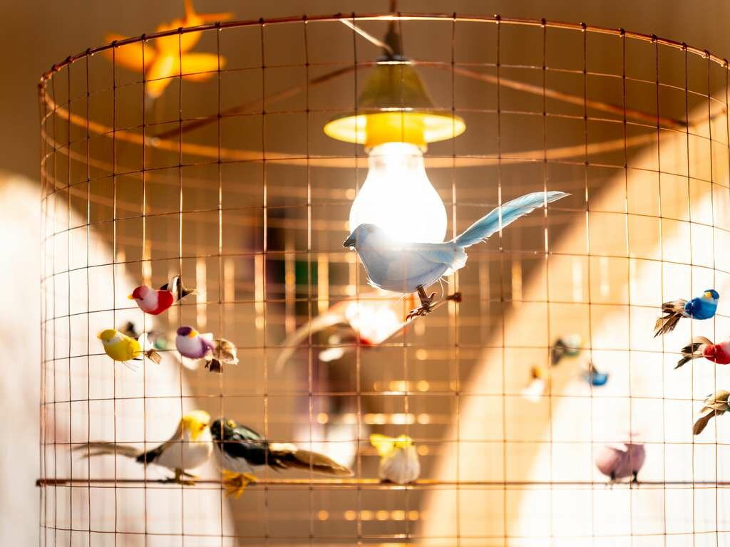 Фото Ibis Styles Strasbourg Centre République