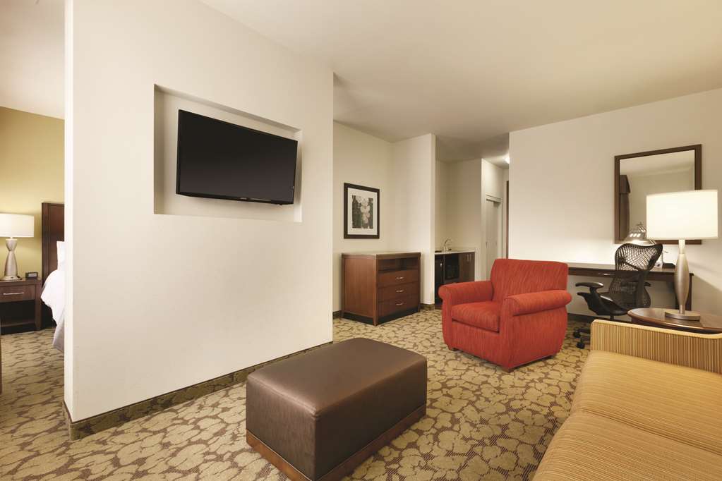 Фото Hilton Garden Inn Rochester Downtown