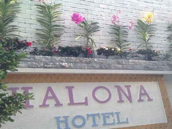 Фото Halona Hotel