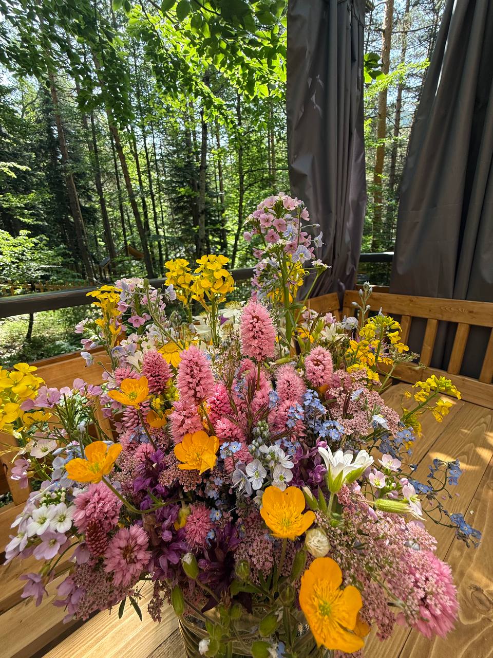 Фото Ness.village