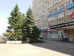 Юрист Гупалов П. П. (Turkestanskaya ulitsa, 5) ، خدمات قانونية