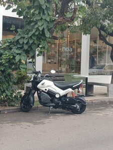 Noa Plant Shop (Santa Cruz de la Sierra, Distrito Municipal 1, Subdistrito 59, Calle H, 50), bar, pub