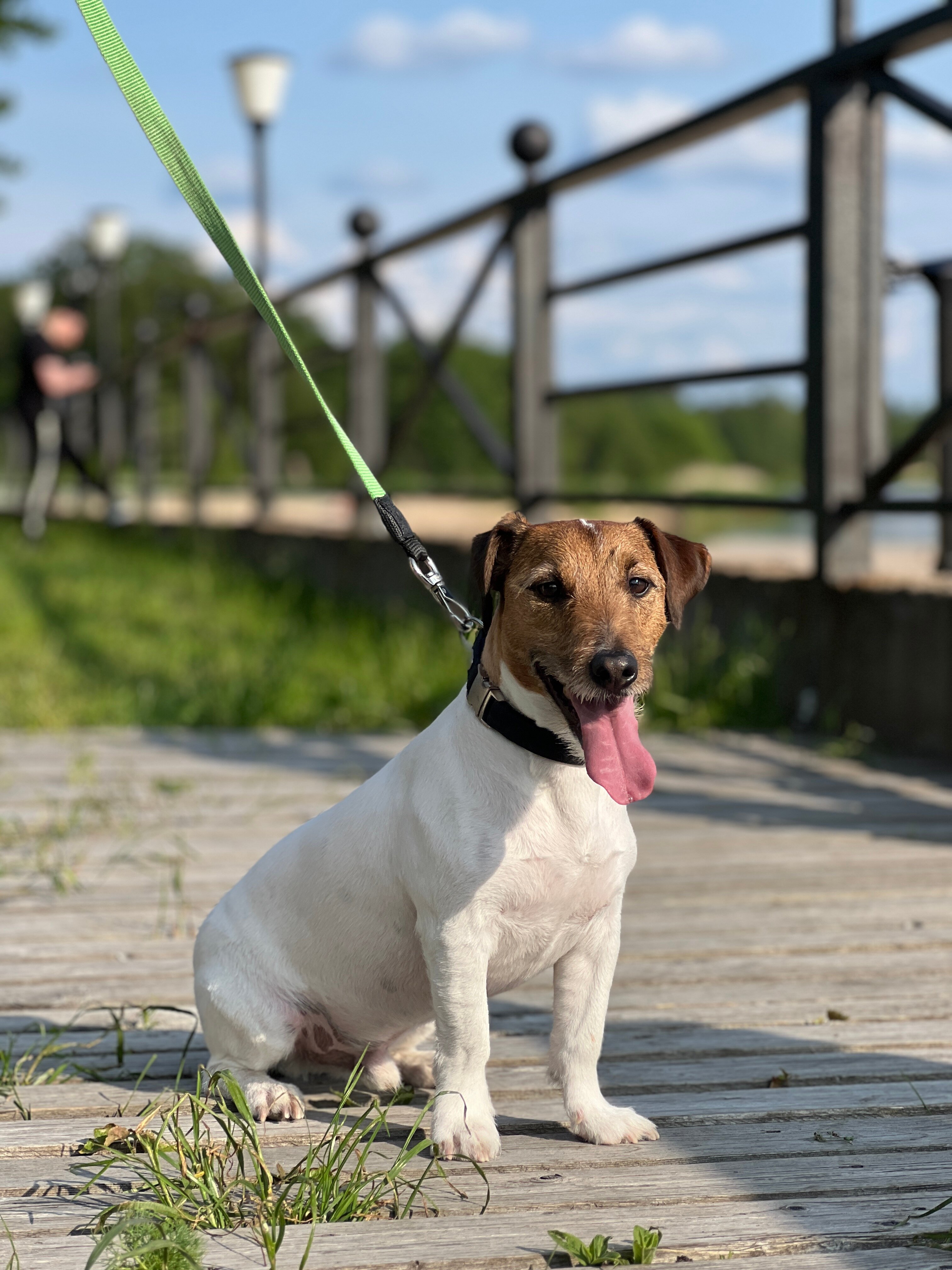 Фото Территория отдыха Hevaa