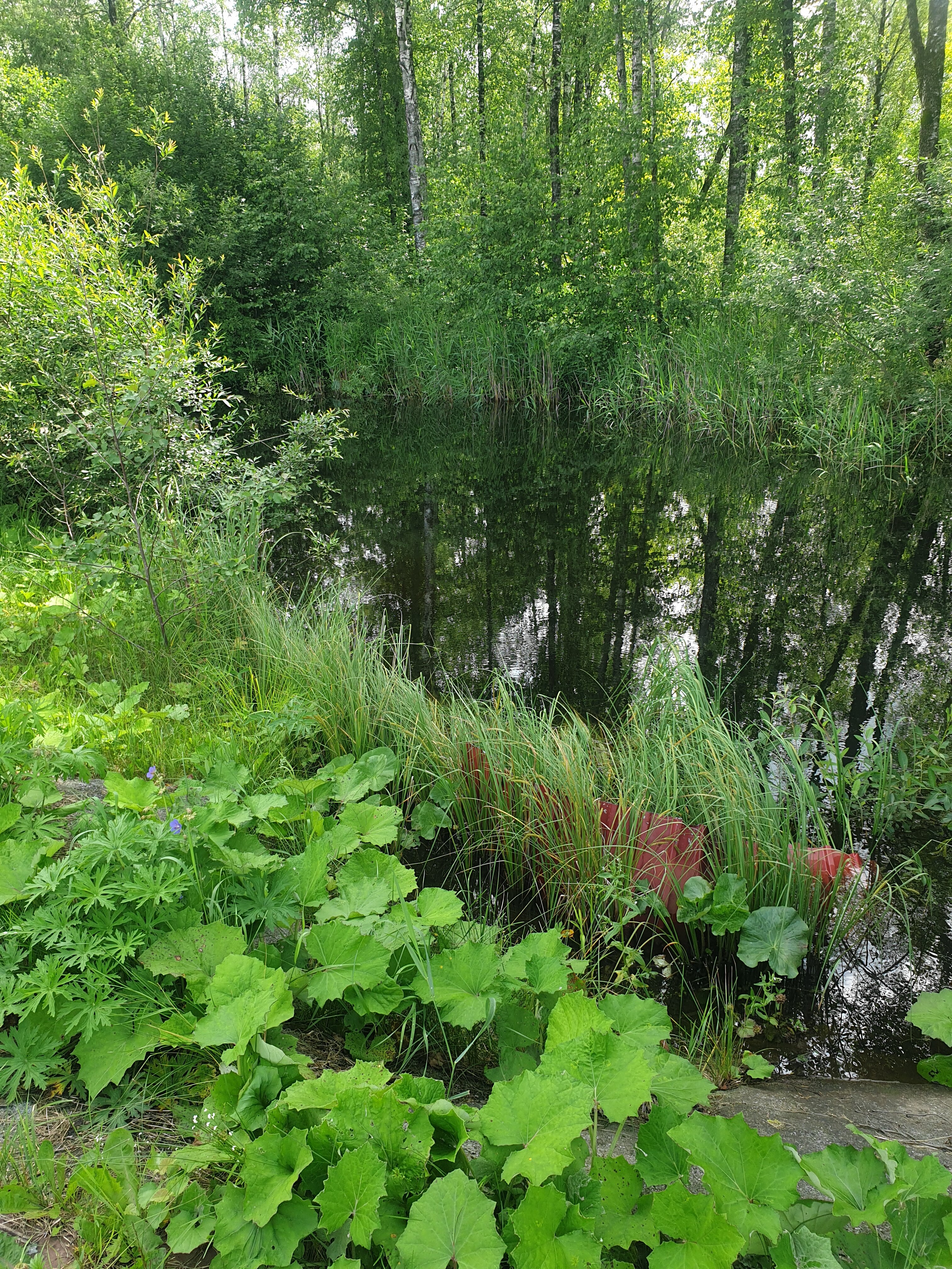 Фото Жемчужина