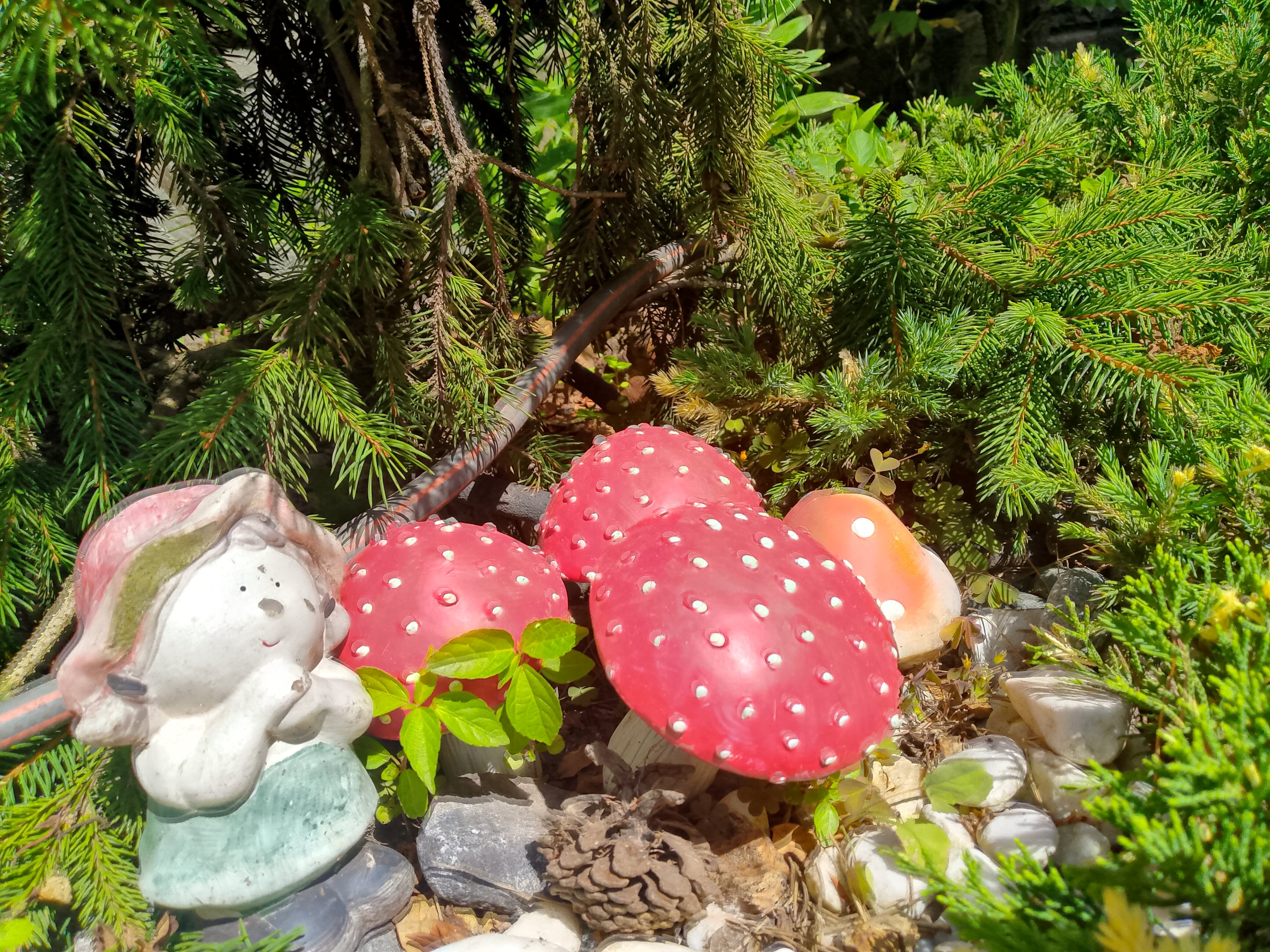 Фото Димерчи