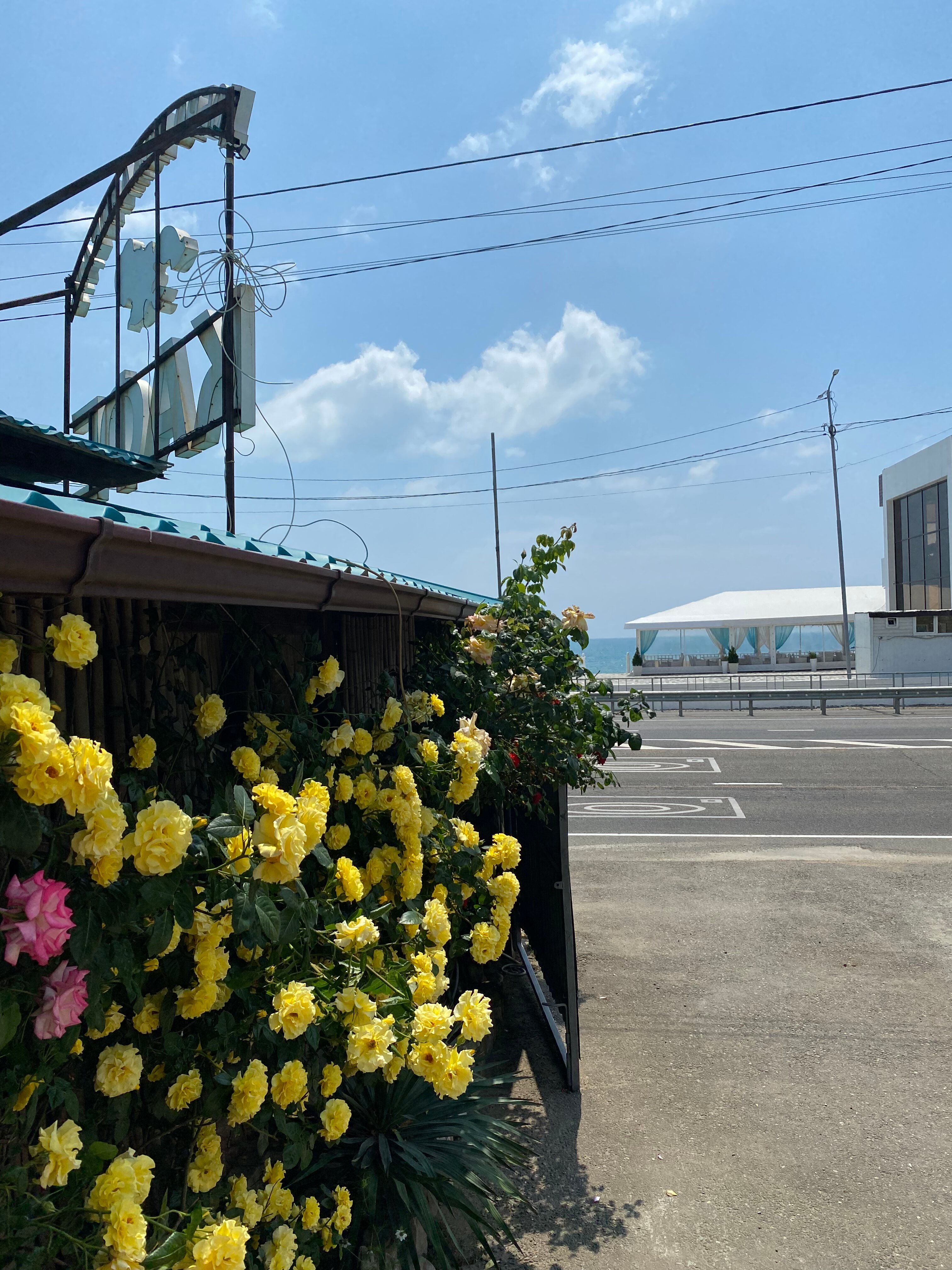 Фото Лазурный берег