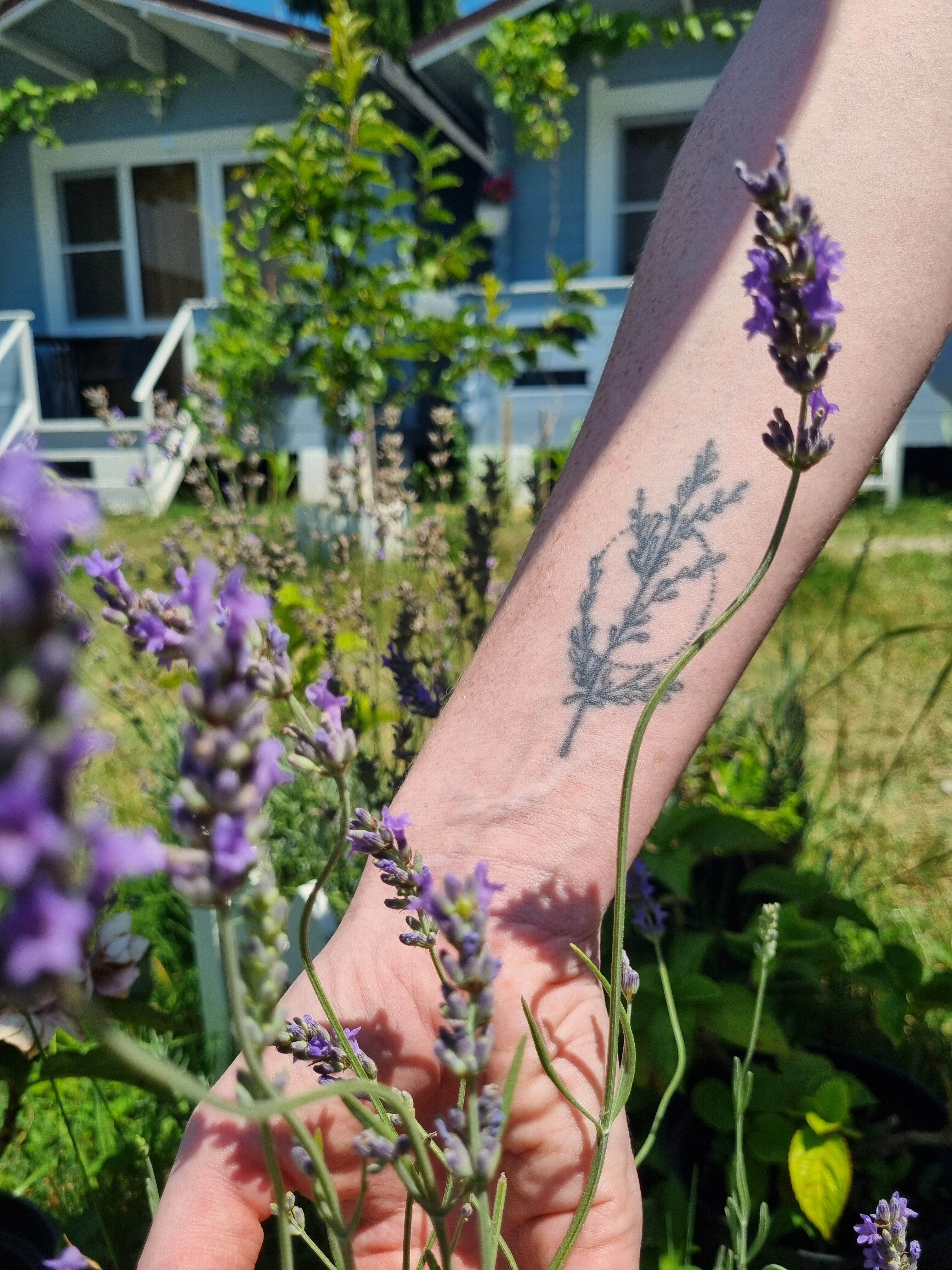 Фото Вилла Лаванда