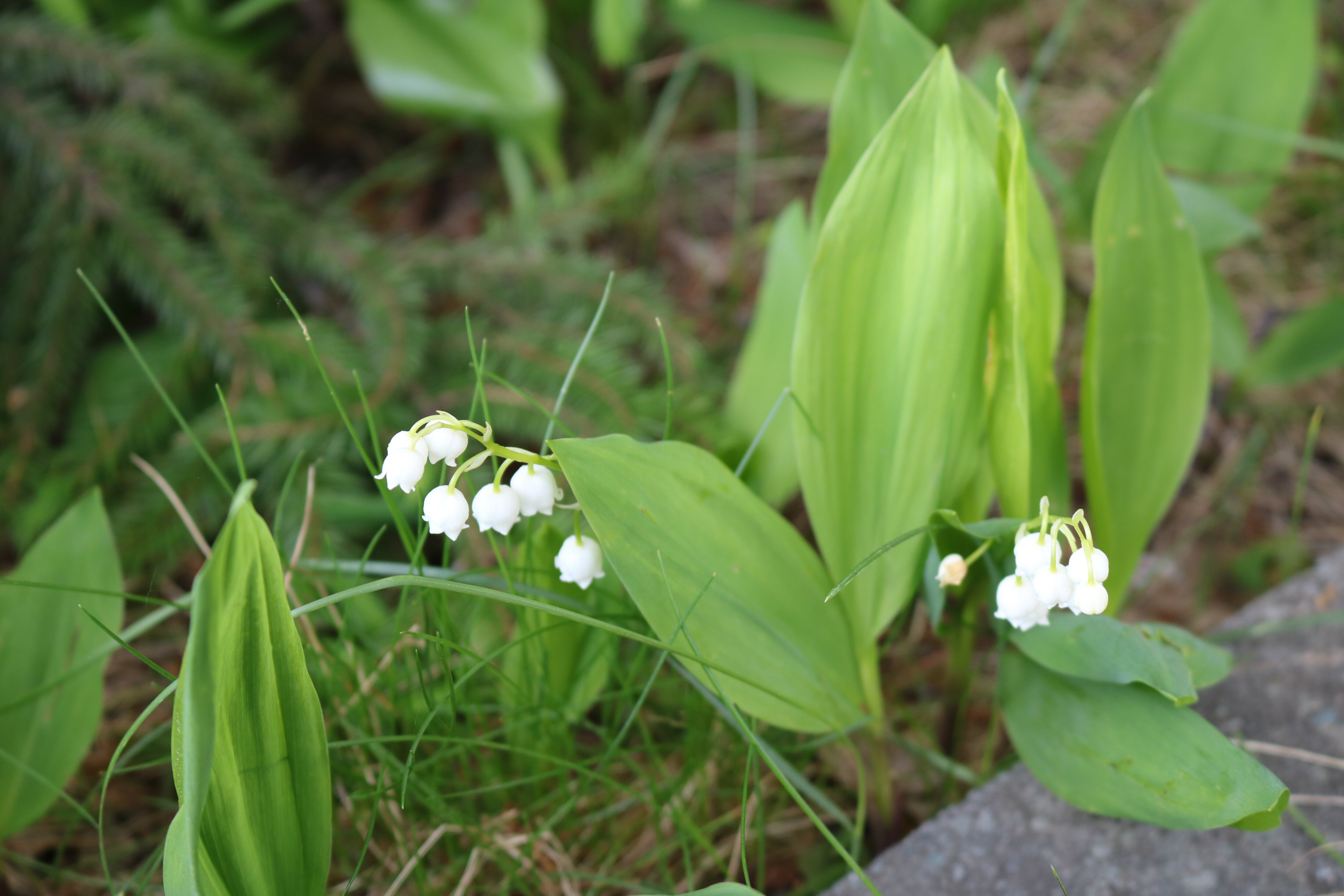 Фото УткульРФ