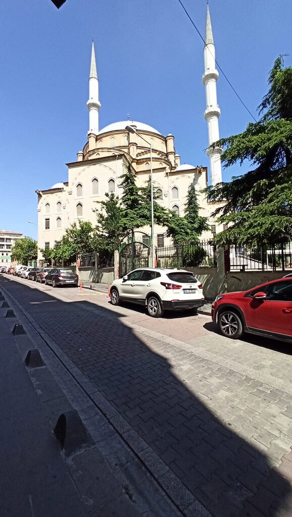Mosque Fatih Cami, Istanbul, photo