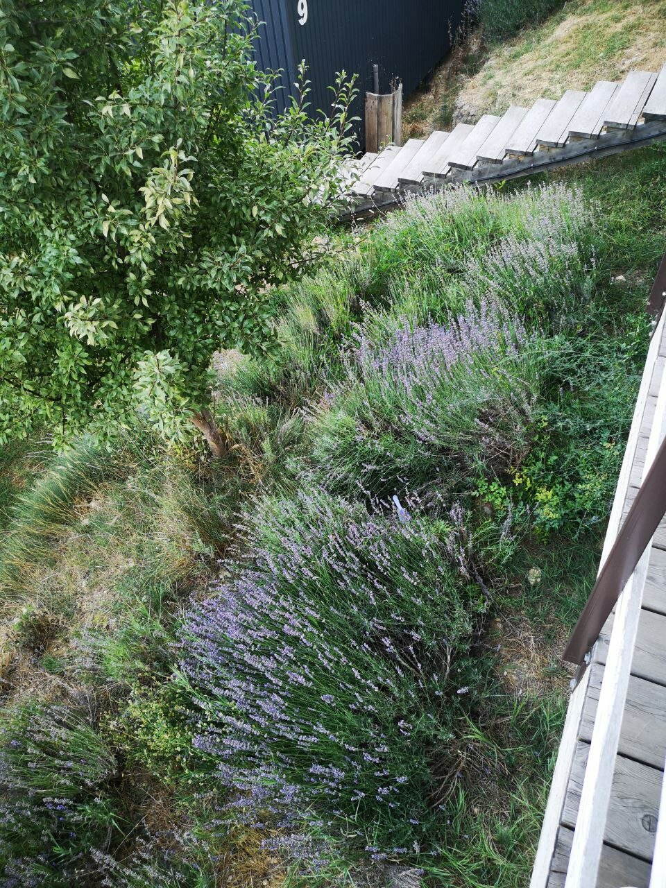 Фото Горный