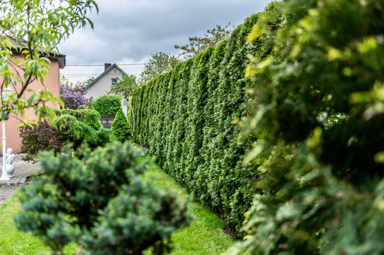 Фото Клавдия