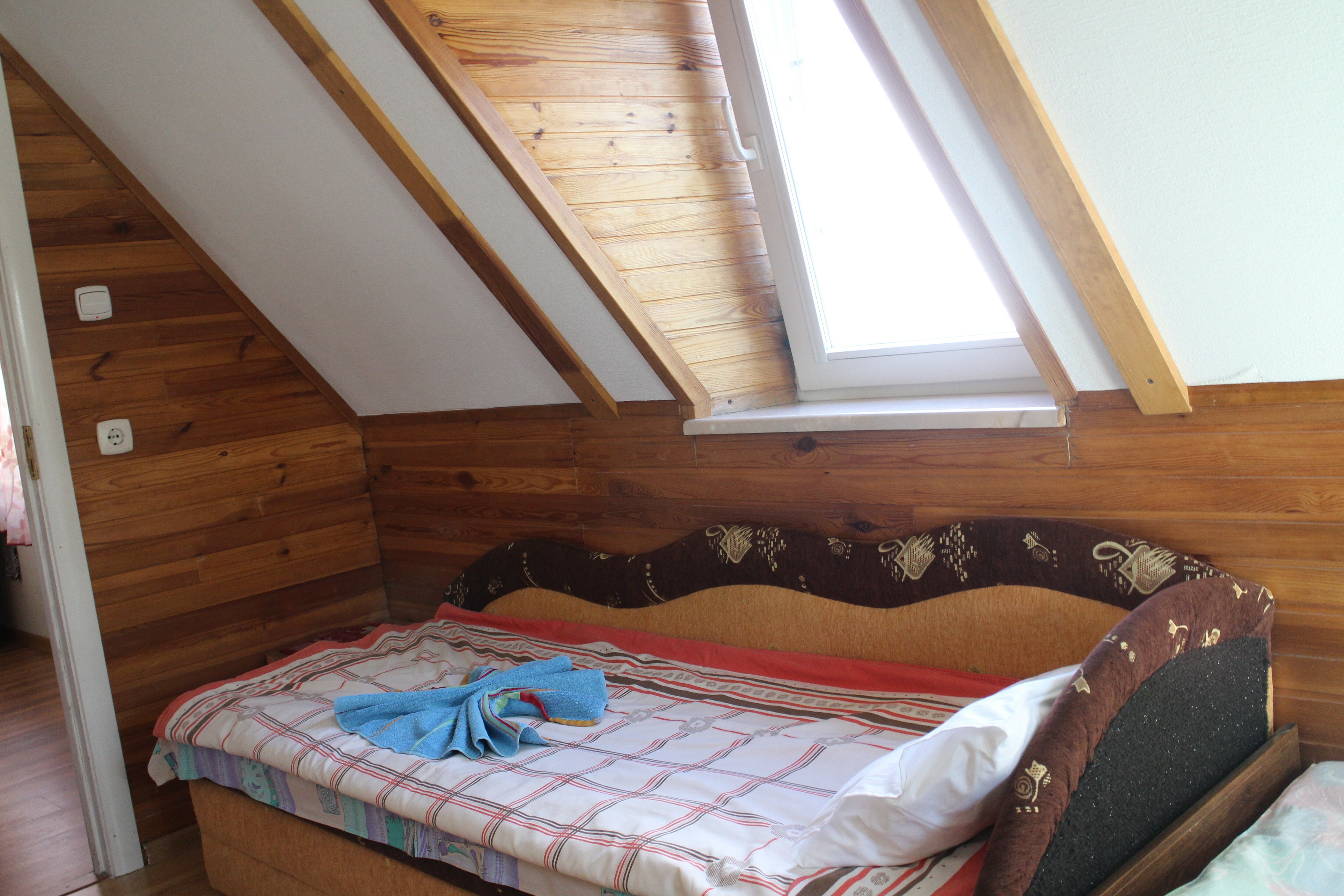 Фото У Ольги