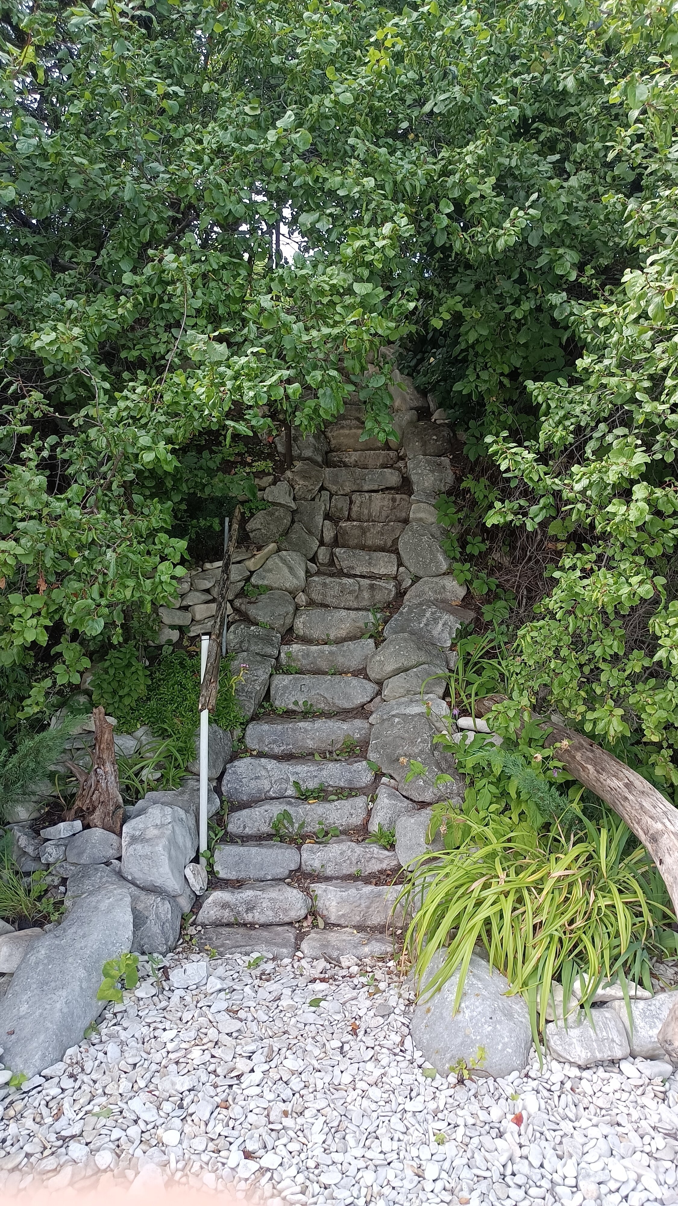 Фото Дом Жар-Птицы