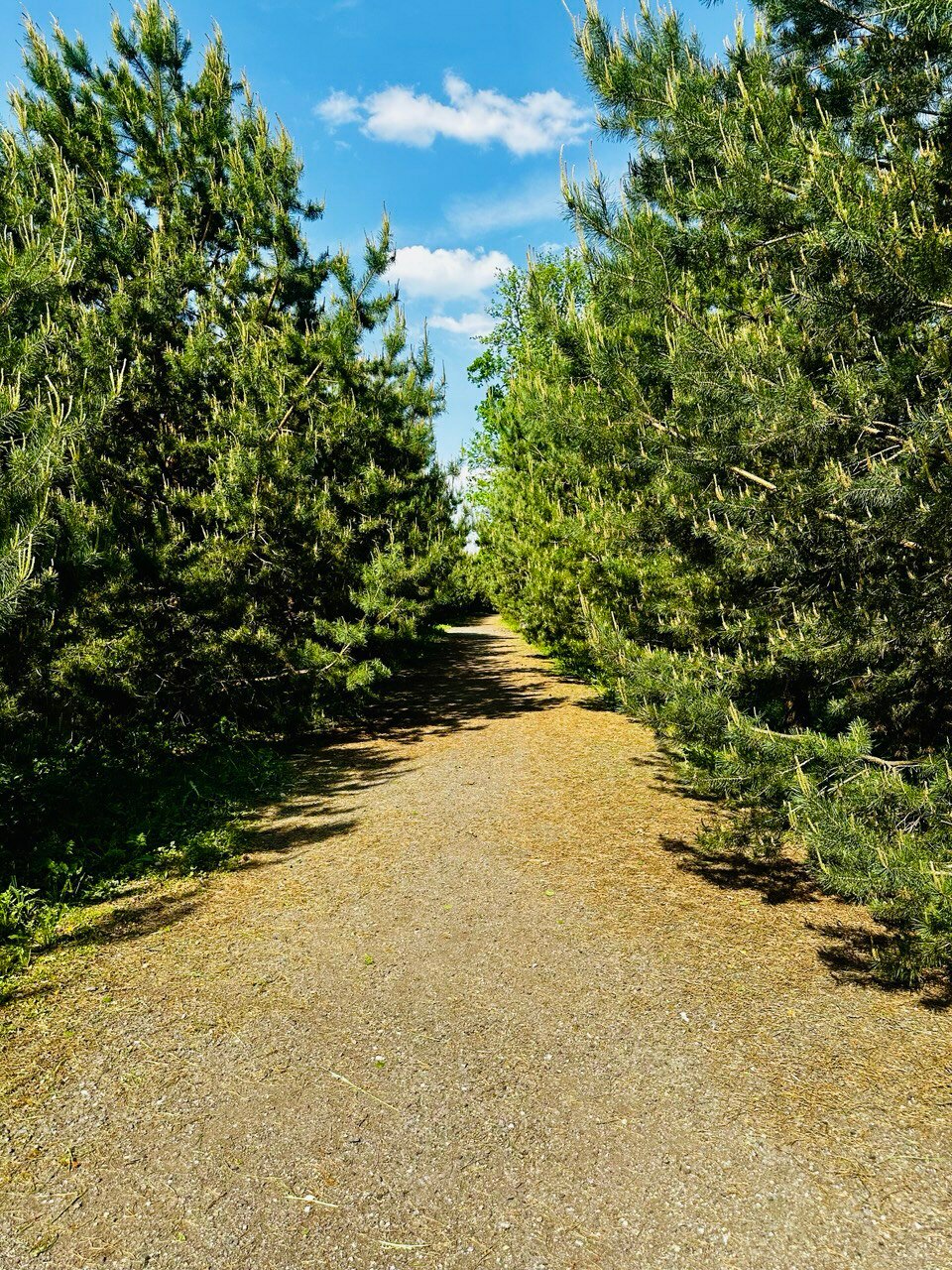 Фото Величъ Country Club